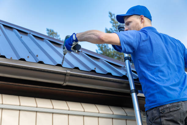 Best Skylight Installation and Repair  in Robesonia, PA