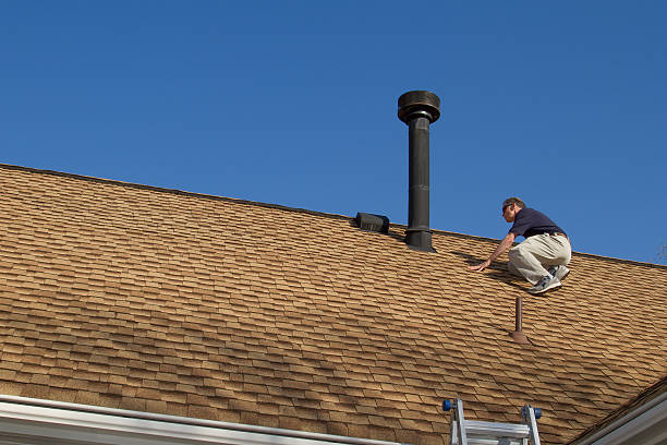 Best Roof Moss and Algae Removal  in Robesonia, PA